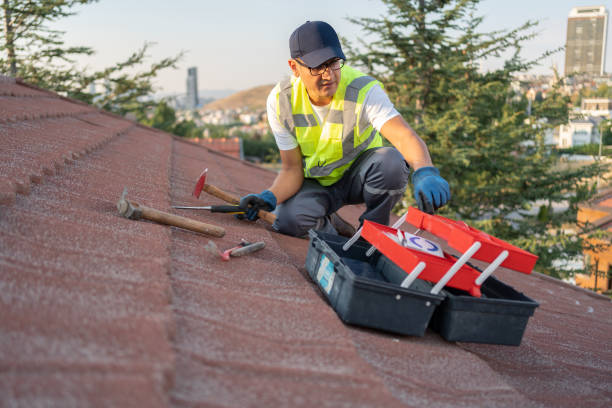 Siding Removal and Disposal in Dayton, NV